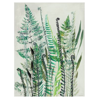 SHYAMA RUFFELL (FERNS I) 60X80 CANVAS - Wrapped Canvas Canvas