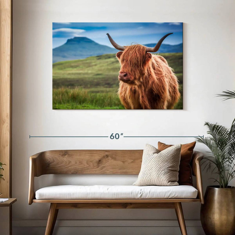 Vache Highland Brampt, H 30 po x l 45 po