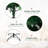 6.5Ft Christmas Tree, Premium Christmas Pine Tree With 1,000 Branch Tips, Artificial Christmas Tree With Metal Hinges, Holiday Tree With Foldable Base, Easy Assembly For Home, Office
