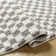 Calonder Checkered Indoor Rug