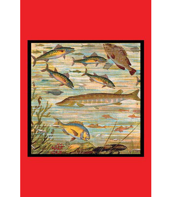 Fish Pond - Unframed Print