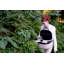 Panorama Zipper-free Small Pet Travel Carrier