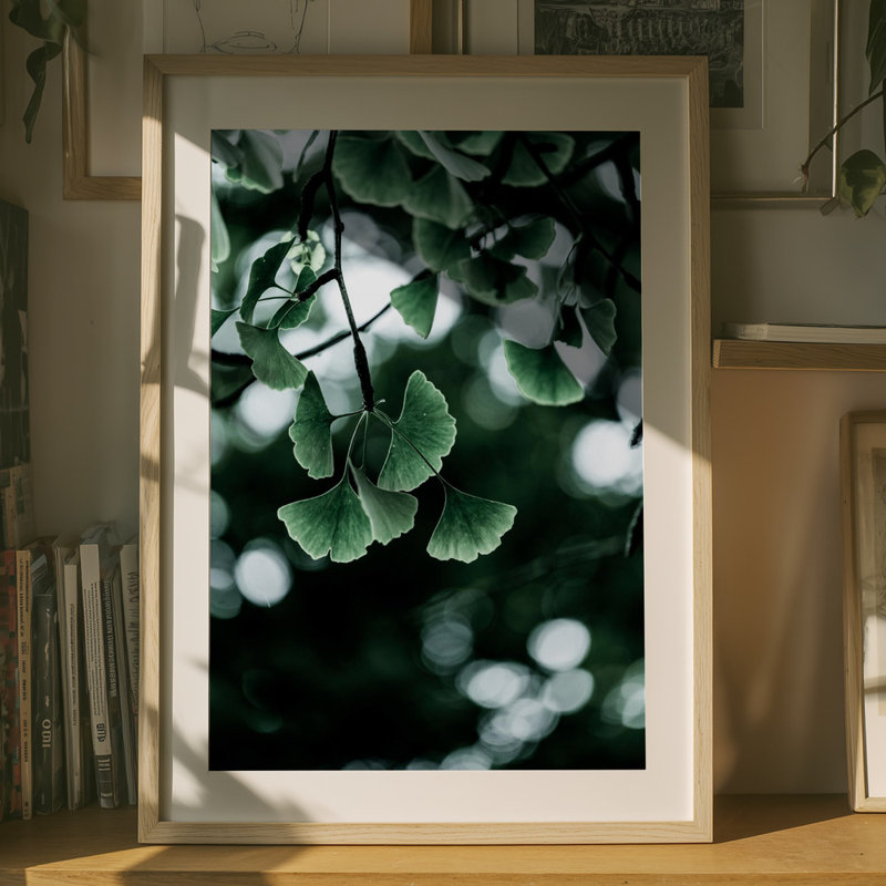 Wrapped Canvas Print, 76.2 cm H x 50.8 cm W