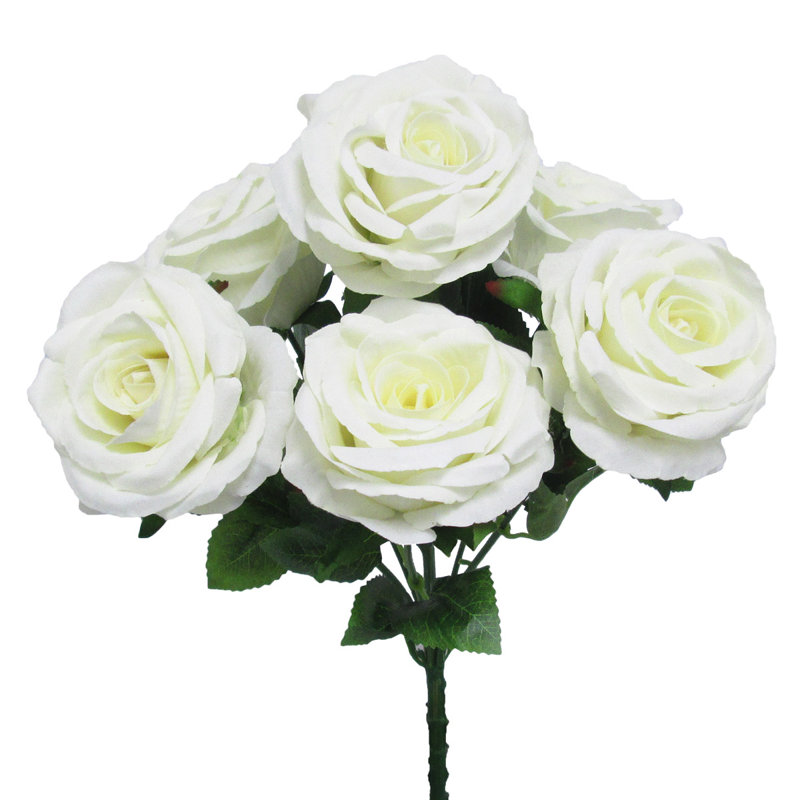 Velours rosier, Blanc