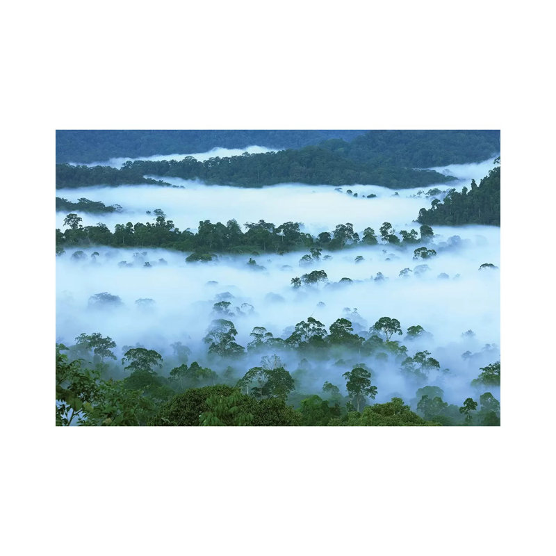 Thomas Marent - Wrapped Canvas Print, 20.32 cm H x 30.48 cm W