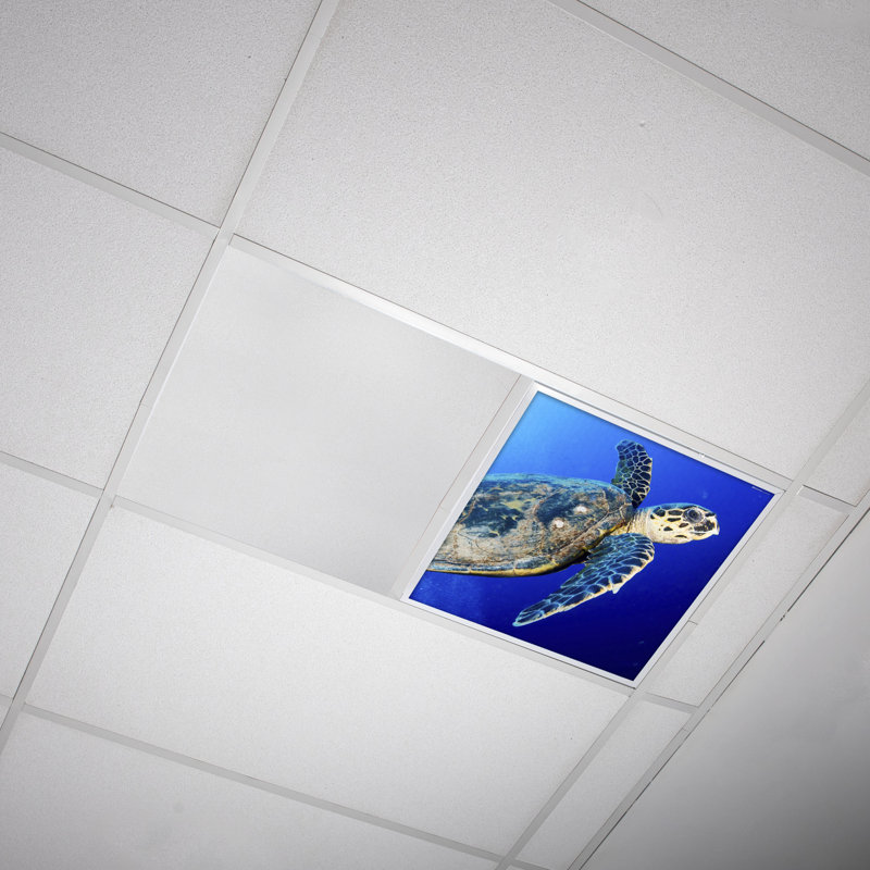 Couvre-lumière décoratif flexible océan