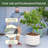 17.5" Tall 21" Wide Round Metal Outdoor Rolling Tree Planter-128635681-128635683