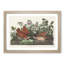 Key-West Doves by John Audubon - Picture Frame Art Print-55609650-55609651