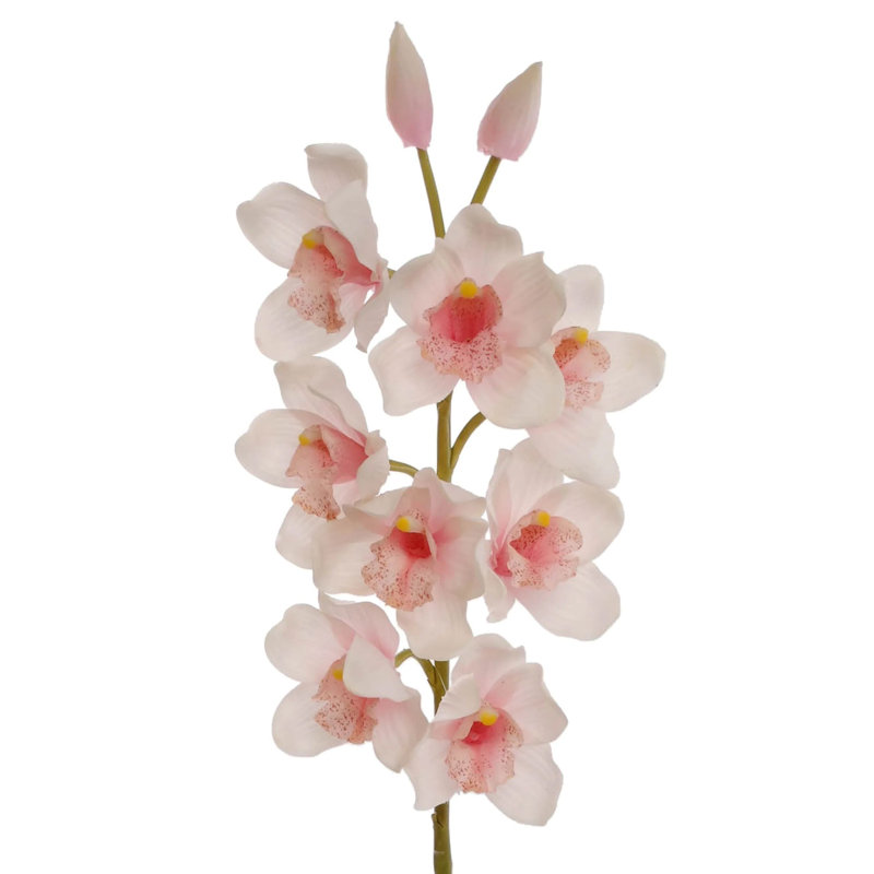 30" Tall Cymbidium Stem with 10 Flowers, Light Pink, 2