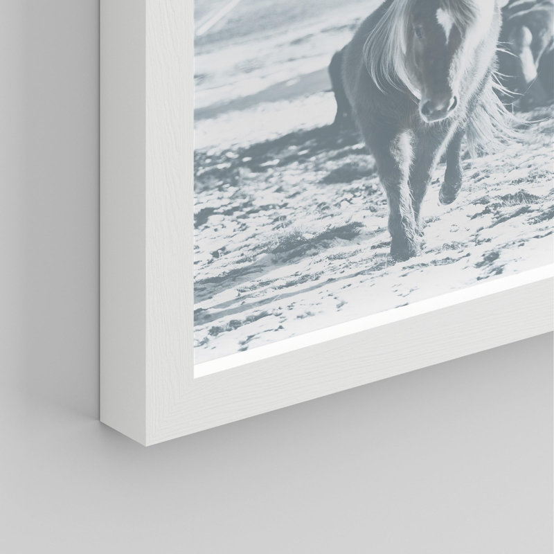 «Wave Beach Shore Horse Pony Animal Duotone Ocean» sur, Blanc, H 14 po x l 11 po