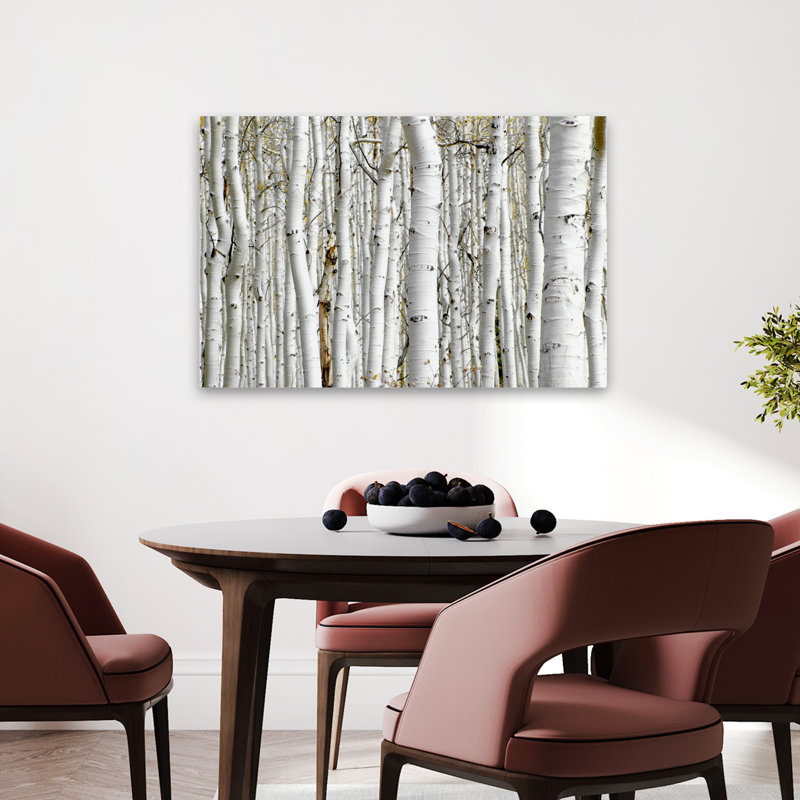 Bouleau - paysages, photographie, arbres, art, H 24 po x l 36 po