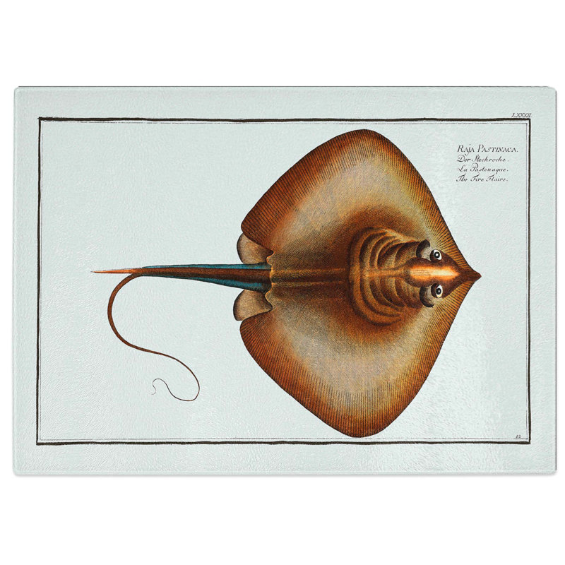 Tempered Glass Stingray by M.E. Bloch Chopping Board, 28.5 cm W x 20 cm L