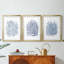 Summer Herb Garden Sketches I - Impression personnalisée de qualité supérieure avec passe-partout - 3 pièces-54687618-54687621