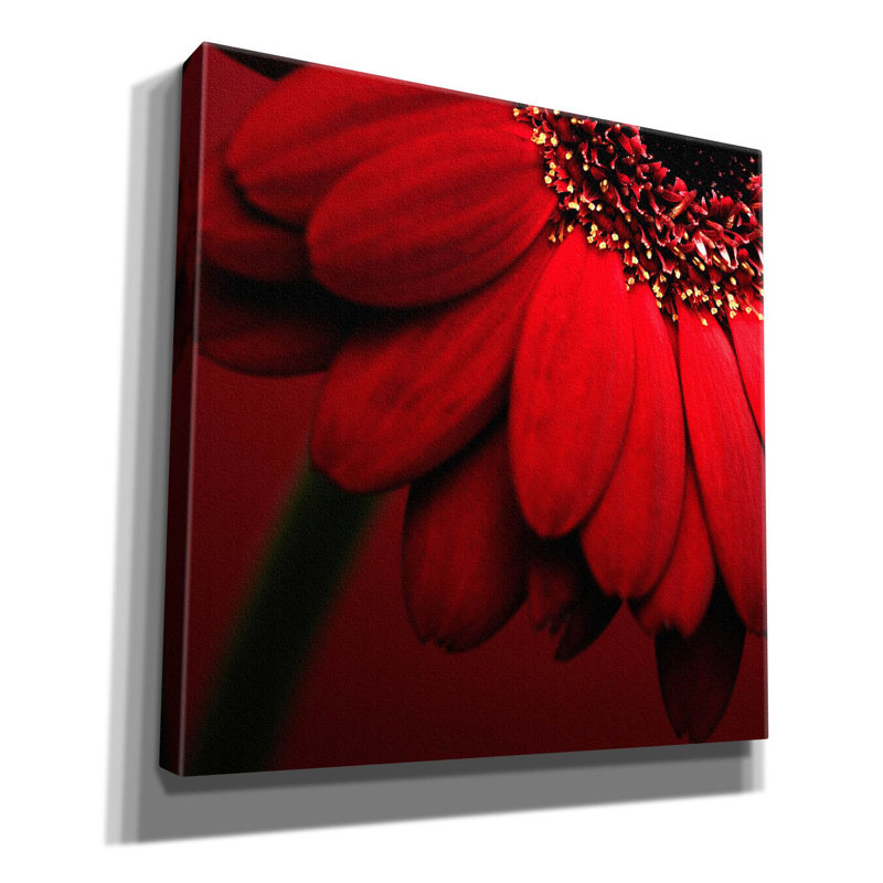 Gerbera rouge sur rouge 02 par Tom Quartermaine, H 26 po x l 26 po x P 1,5 po