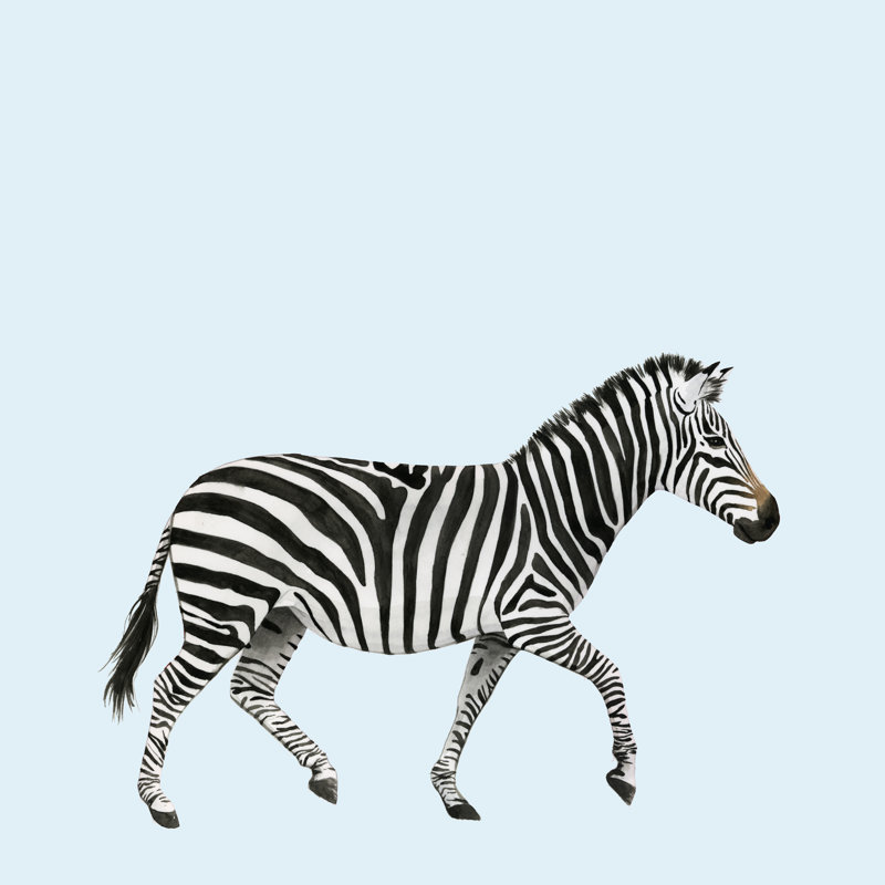 Twilight Safari I by Grace Popp - Wrapped Canvas Art Prints, 91cm H x 91cm W x 3.8cm D