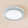 Mccluney Plastic LED Flush Mount