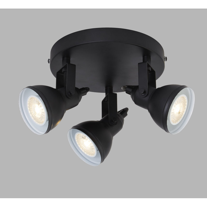 Colesville Spotlight, Black