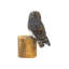 Sculpture en bois Bonneanne Owl