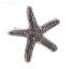 Rond de serviette en métal Silver Coastal Sea Creatures