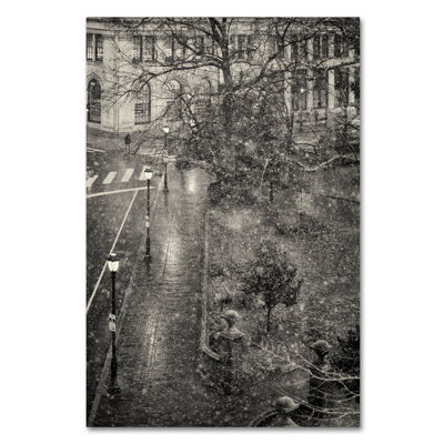 Cohee 'Trompe L'Oeil' Photographic Print on Wrapped Canvas