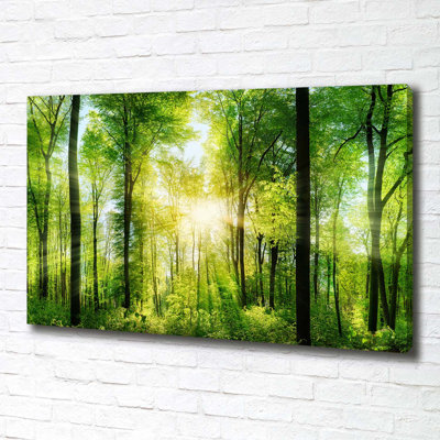 Forest In The Sun - Wrapped Canvas Print