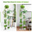 Plant Stand-71530880