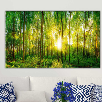 " Summer Forest "