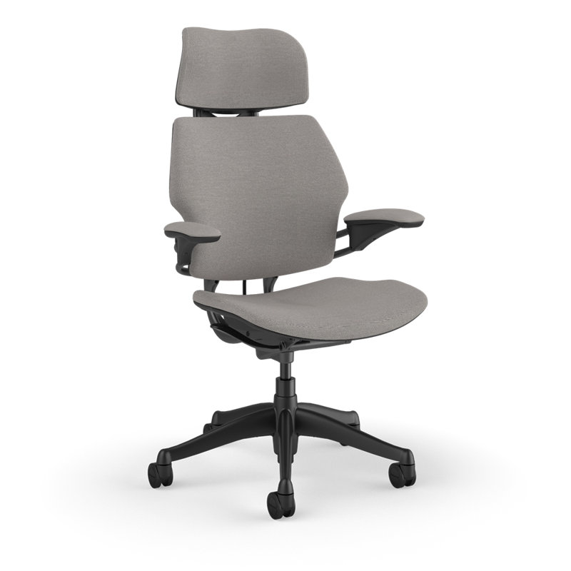 Freedom Headrest Ergonomic Task Chair - Autumn, Gray - 10