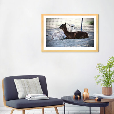 " Alpaca Friends " by Susan Vizvary