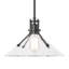 Henry 1 - Light Single Cone Pendant-121977070-66174551-66174549