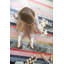 Nueva Raya Cowhide Striped Area Rug