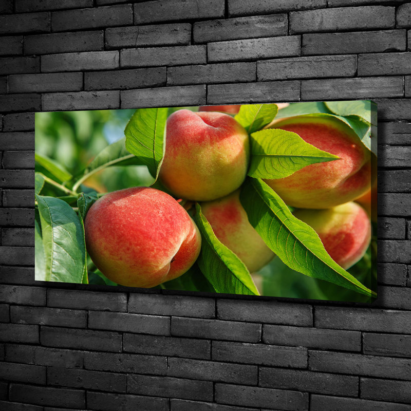 Peaches - No Frame Print on Canvas