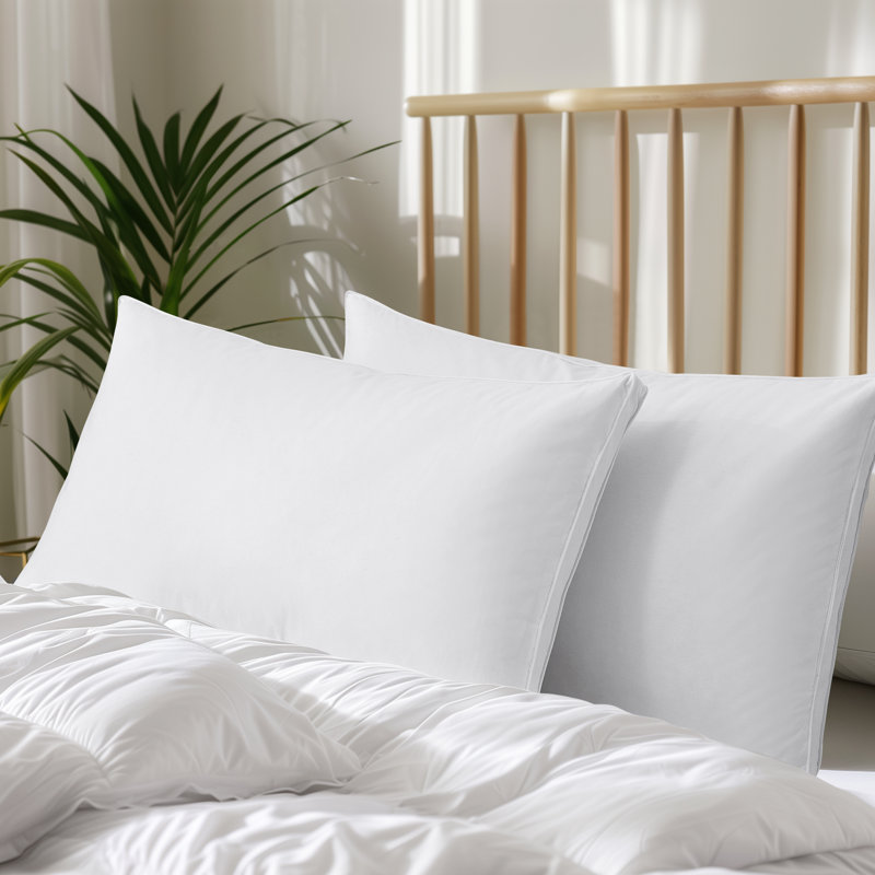 Ensemble de 2 coussins décoratifs Goose Feather, Très grand: 20 po x 36 po