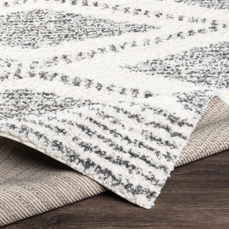 Isavela Southwestern Indoor Rug, Round 5'