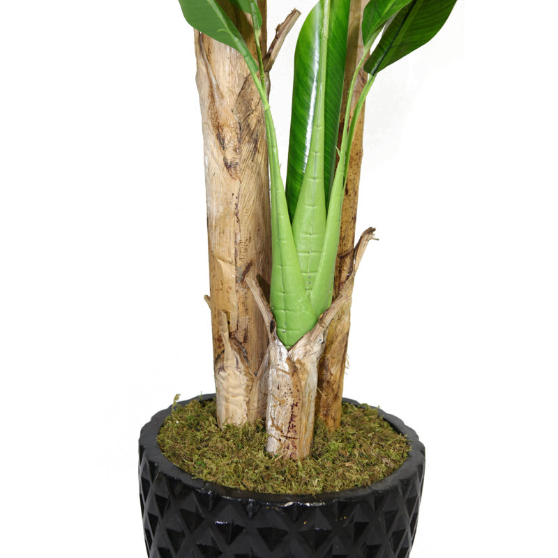 Bananier artificiel en pot 77,5 po Panama, Noir