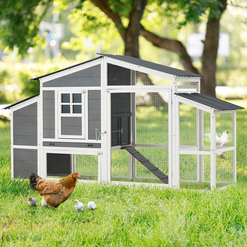 Large Gray and White Wooden Chicken Coop with Run