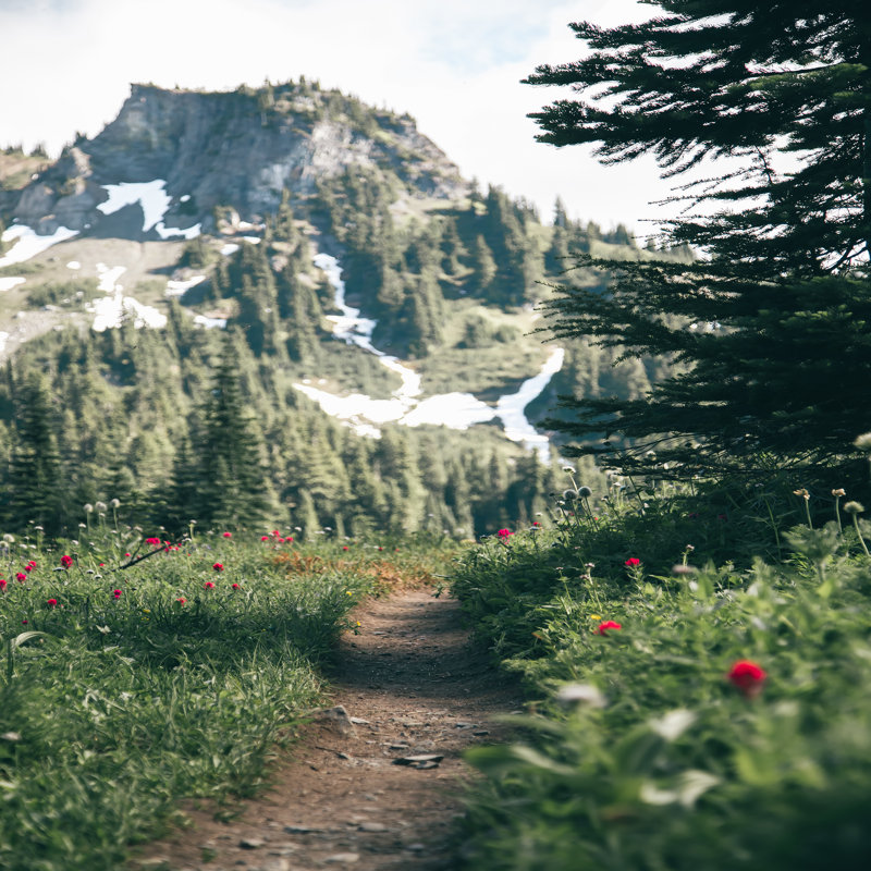 Sentier de montagne, H 36 po x l 36 po