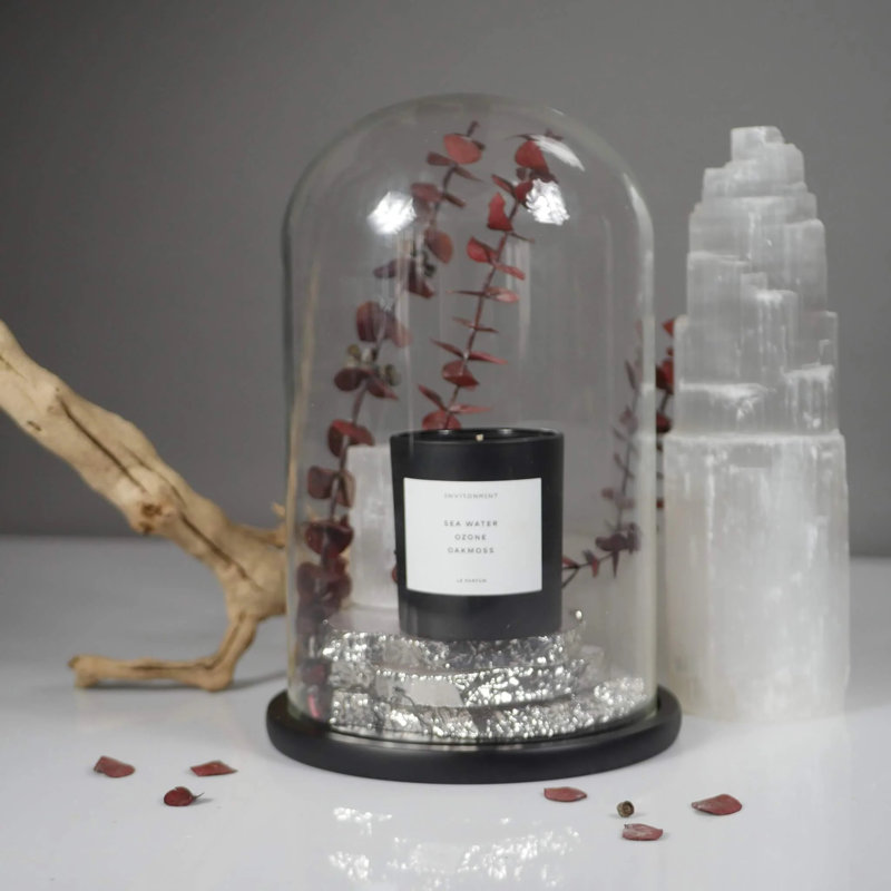 8oz Black Soy Candle with Blonde Woods and Rose