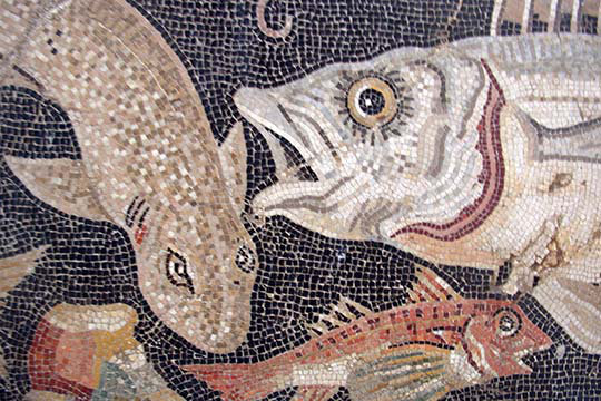 Mosaïque de poissons-impression d’art graphique sans cadre, H 24 po x l 36 po x P 1,5 po
