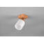 Kayl 1-Light 10cm Ceiling Spotlight