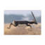 Drôle d'antilope-307402321