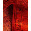 Overdyed One-of-a-Kind 3' 3" X 5' 4" Hand Knotted Area Rug