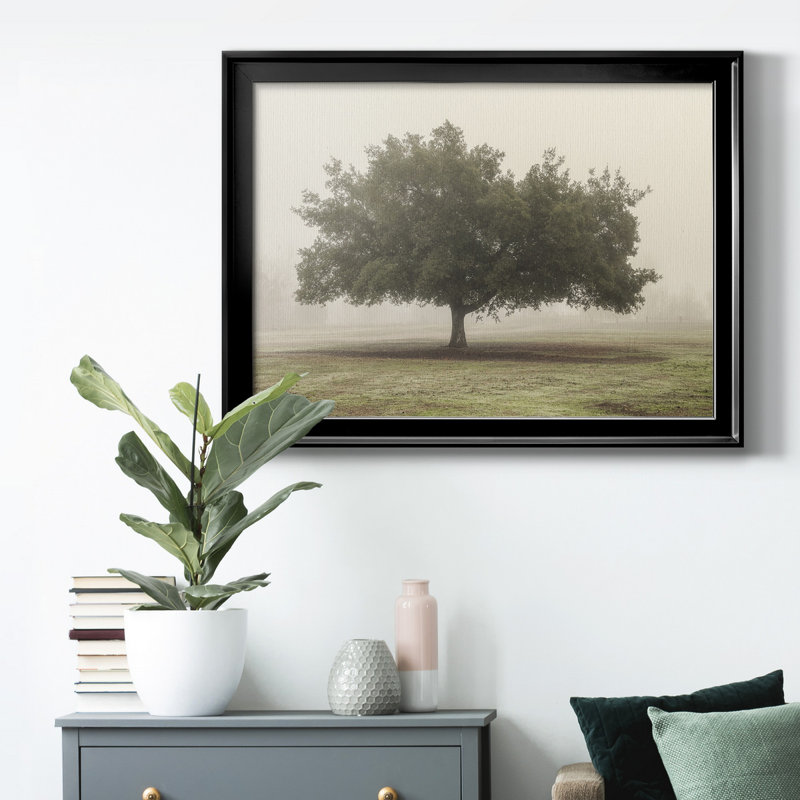 «Trees In The Fog II», reproduction encadrée de qualité supérieure - prête à être accrochée, H 22,5 po x l 30,5 po x P 1 po