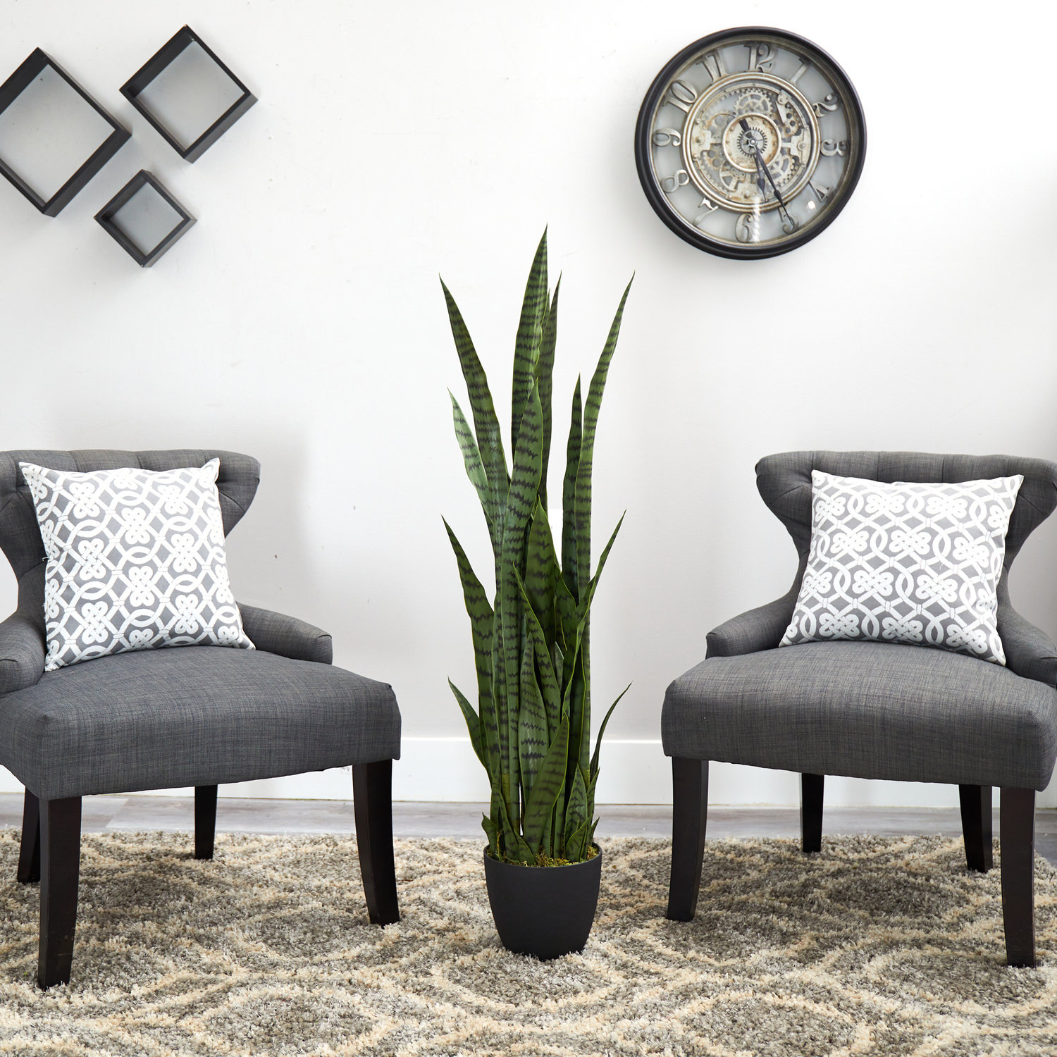 Snake Plant in Pot, Green, 46" H x 9" W x 9" D