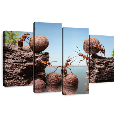 Ants Building Dam