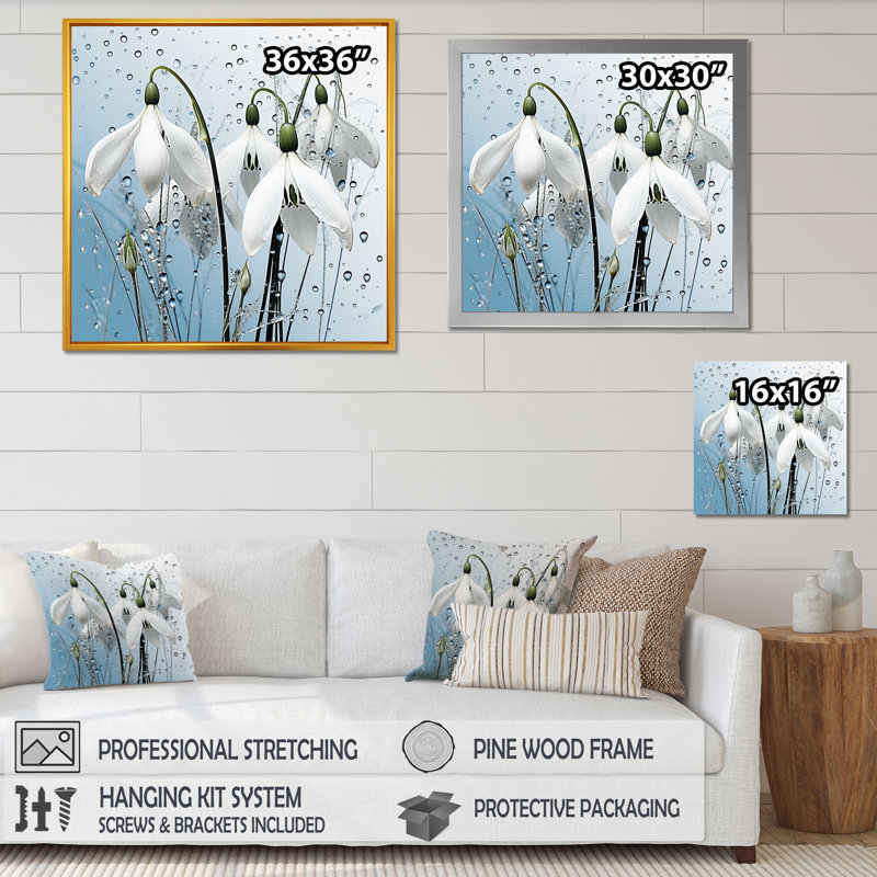 «Minimalisme Snowdrop Flower Photo IV», reproduction d'art sur toile, Cadre naturel flottant, 24" H x 24" W