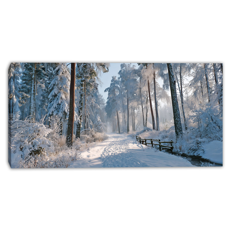 «Alpine Pines in Winter Mist», art mural sur toile tendue, H 24 po x l 48 po
