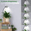 Naomi Grow Light