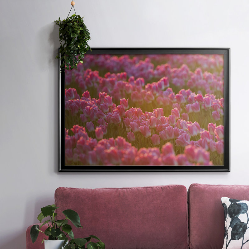 Field of Tulips I, reproduction d'art sur toile, Noir, H 18 po x l 26 po x P 1,5 po