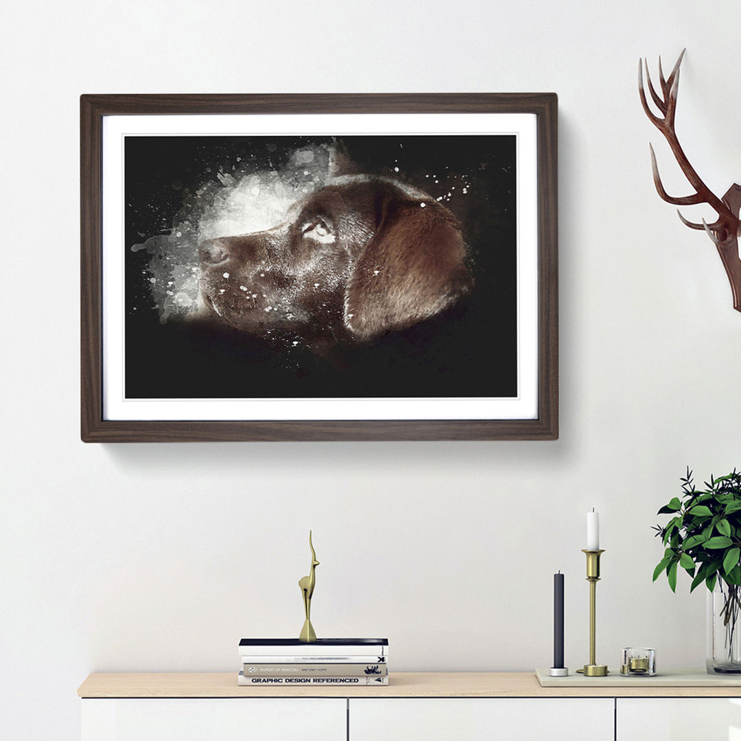 Chocolate Labrador Portrait - Framed Print